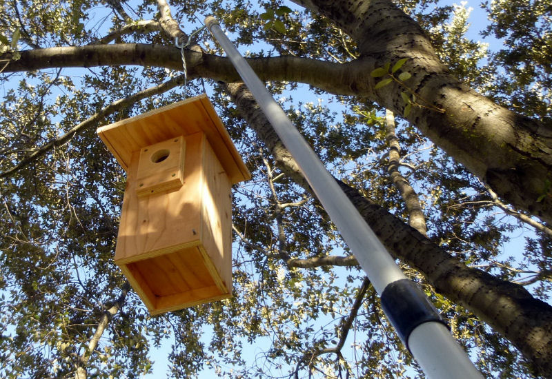 Hanging nestbox Lee Pauser photo